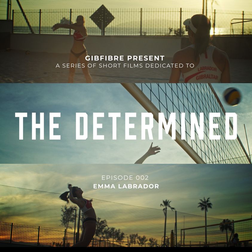 The Determined 002 - Emma Labrador